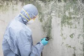 Best Industrial Mold Remediation  in USA